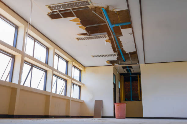  Rocky Mount, NC Water damage restoration Pros