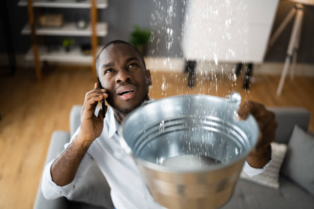 Best Basement water damage restoration  in Rocky Mount, NC