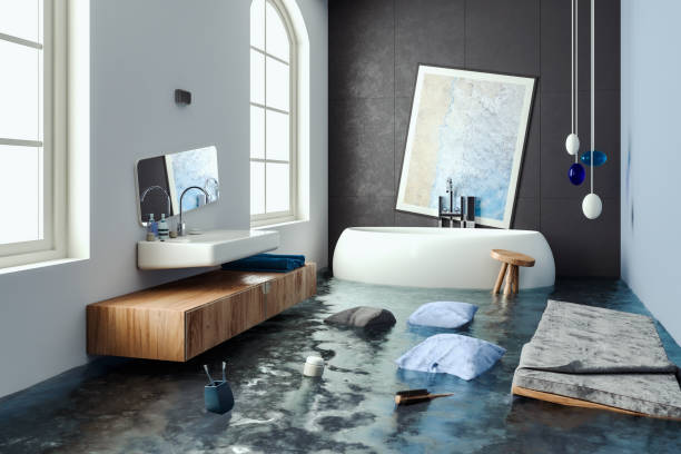Best Water damage restoration near me  in Rocky Mount, NC