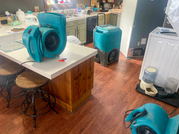 Best Water damage contractors near me  in Rocky Mount, NC
