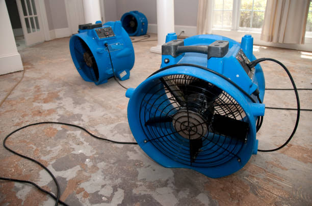 Best Water damage mitigation services  in Rocky Mount, NC